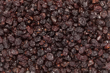 Organic air dried Blueberries (Vaccinium corymbosum). Macro closeup background texture. Top view.