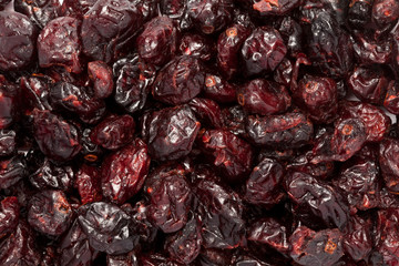 Organic air dried Cranberries (Vaccinium oxycoccos). Macro closeup background texture. Top view.