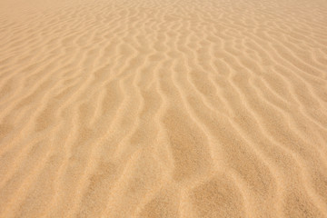 Fototapeta na wymiar Sand dunes closeup