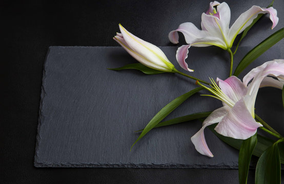 Lilies on black stone background.Spa concept