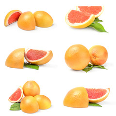 Group of grapefruit on a isolated white background