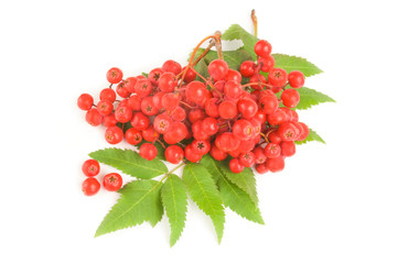 Raspberry Fruit isolated on a white background cutout