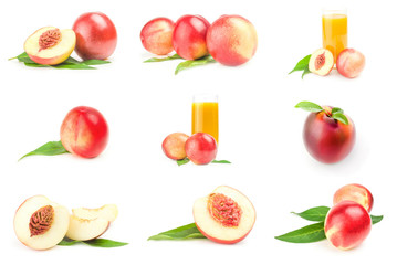 Collection of fresh peaches fruits over a white background