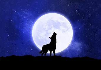 Crédence de cuisine en verre imprimé Loup Konzept Wolf, Werwolf vor dem Mond bei Nacht