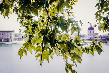 A Day in Toulouse