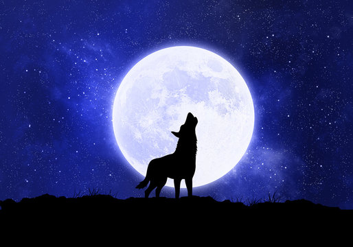 Konzept Wolf, Werwolf vor dem Mond bei Nacht