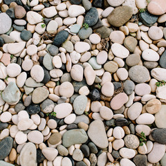 Neutral pattern of pale stones. Flat lay, top view