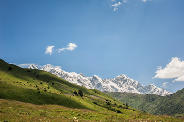 Fototapeta na wymiar Alpine meadow and rocky mountains