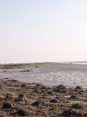 Incredibly Beautiful Shots of the River Beds in Wivenhoe Essex as the Sun Goes Down and the Birds Fly to Alresford