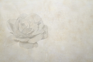 Rose and antique paper