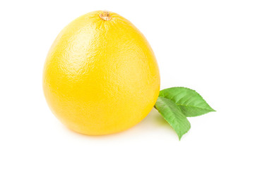 Tropical fruit over a white background