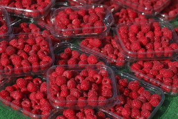 Himbeeren auf einem Marktstand, Bremen, Deutschland