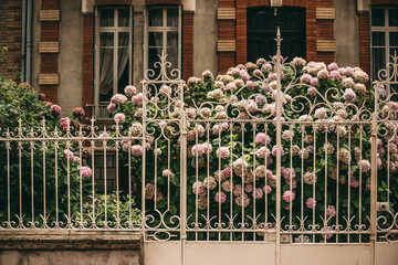 harmonic Cityscapes in Summer