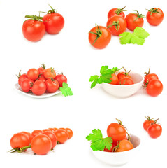 Collage of tomatoes