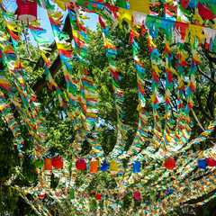 Fototapete bei efototapeten.de bestellen   