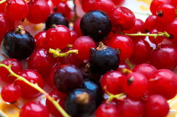 Naklejka na ściany i meble currant berries macro photo fruit