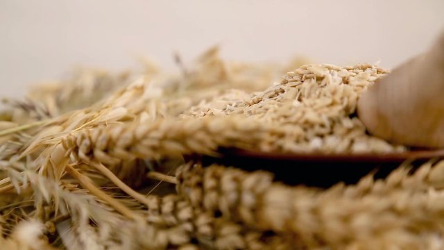 Oatmeal for the diet. Useful and tasty oat groats