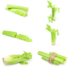 Group of celery on a white background cutout