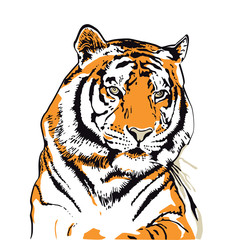 Tigerkopf illustration isoliert auf weiß