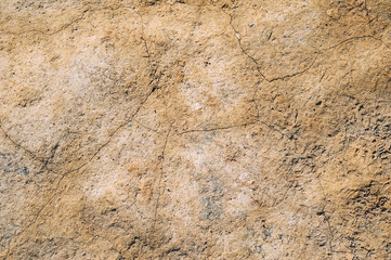 Cracked dry mud earth background texture