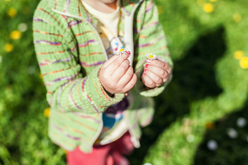 Two Flowers in Child's Hands