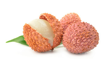 Lechwes isolated on a white background cutout