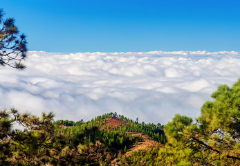 Dreamy white light clouds on the horizon behind the hill and pine trees. Canarias, Tenerife