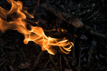 bonfire in the forest. Fire. Wood