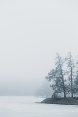Obraz na płótnie Canvas Foggy winter morning in winter park