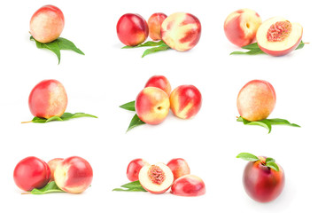 Set of juicy ripe peaches isolated on a white background cutout
