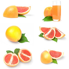 Collection of grapefruit close-up isolated on white background