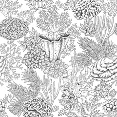 Naklejka premium Coral Reef Pattern