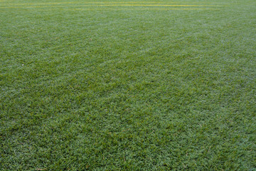 Background artificial turf green grass