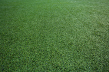 Background artificial turf green grass