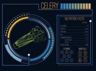 Celery. Nutrition facts. Vitamins and minerals. Futuristic  Interface. HUD infographic elements. Flat design, no gradient. Vector illustration