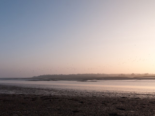 Incredibly Beautiful Shots of the River Beds in Wivenhoe Essex as the Sun Goes Down and the Birds Fly to Alresford