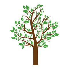 Obraz premium colorful tree with leafy branches vector illustration