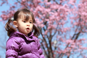 Japanese girl and cherry blossoms 21 years old)