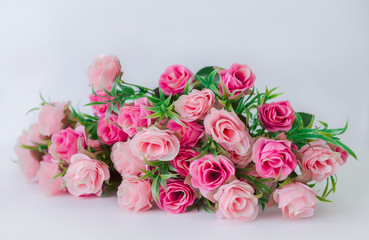 Blossom, Cherry, Cherry Blossom, Flower, Plant