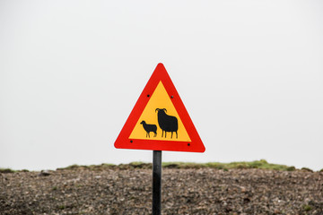 Verkehrszeichen / Warnschild mit Schaf und Ziege / Island