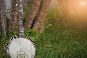 An old banjo rests on a piece of green on a farm lawn. For the leisure of the workers.