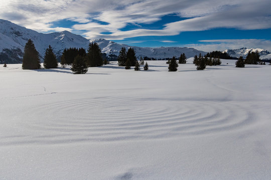 spiral in the snow