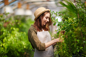 Portrait of beautiful smiling young woman enjoying working with plants, walking in glasshouse tree garden and selecting fresh saplings