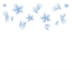 White Blue flying flowers and petals isolated on White background. Sakura blossom background. Vector 
