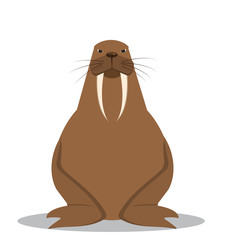 Cartoon walrus with big tusks