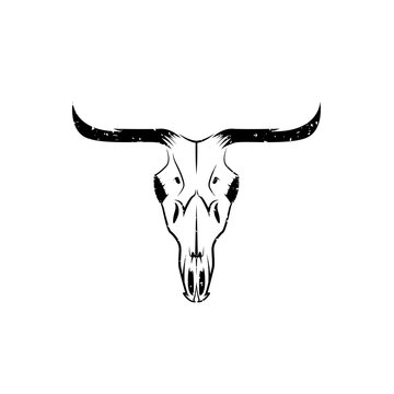 abstract grunge texas cow skull vector design template