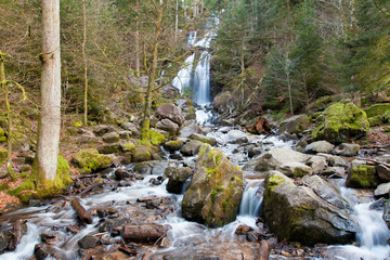 Grande Cascade du Tendon, Massif des Vosges, France 