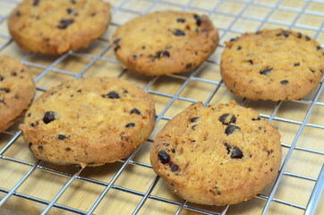 Delicious and fresh homemade chocolate chips cookies from oven
