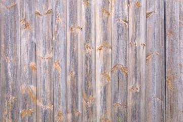 real bright background old wooden boards