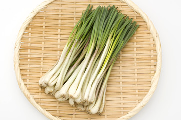 島らっきょう（沖縄 島野菜）